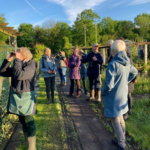 vogelwandeling